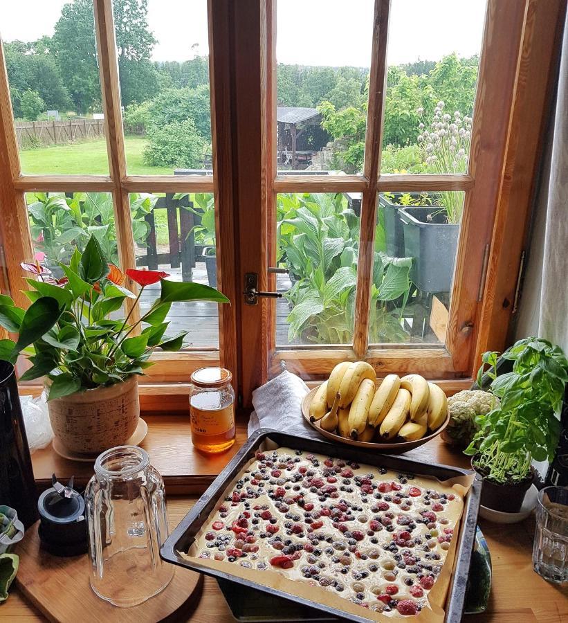 Agroturystyka Dowoli Świeradów-Zdrój エクステリア 写真
